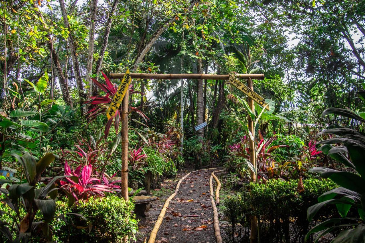 La Palapa Hut Nature Hostel Puerto Jimenez Luaran gambar